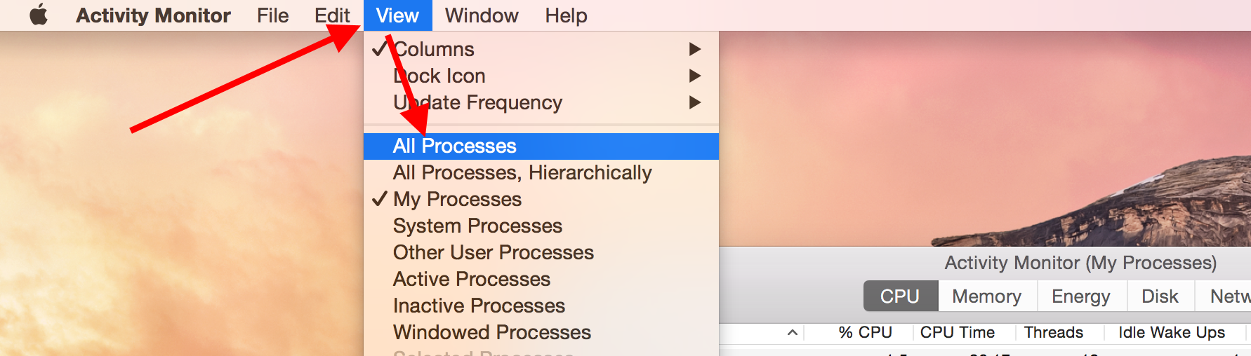 Screencap showing "All Processes"